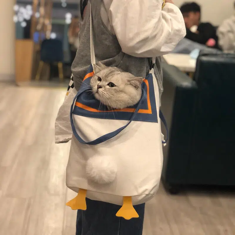 Sac de transport chat en forme de canard porté par une femme avec un chat à la mode