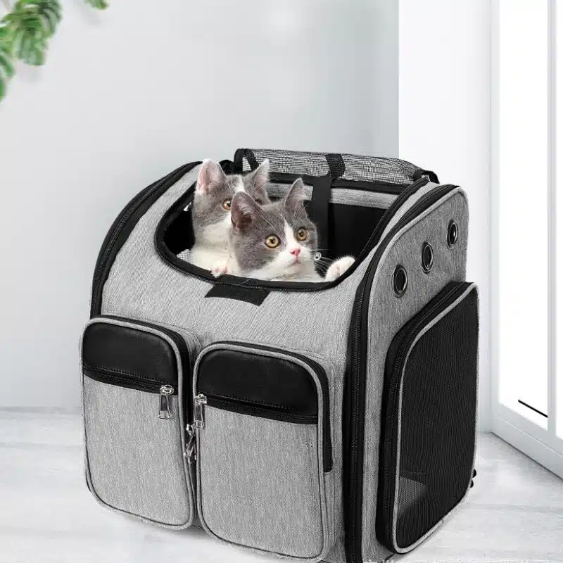 Sac de transport maillé pour chat gris, confortable avec deux chats à l'intérieur