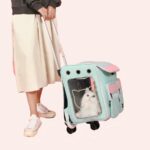Sac de transport poussette pour chat bleue, confortable avec un chat à l'intérieur