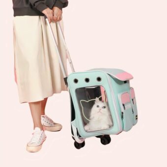 Sac de transport poussette pour chat bleue, confortable avec un chat à l'intérieur