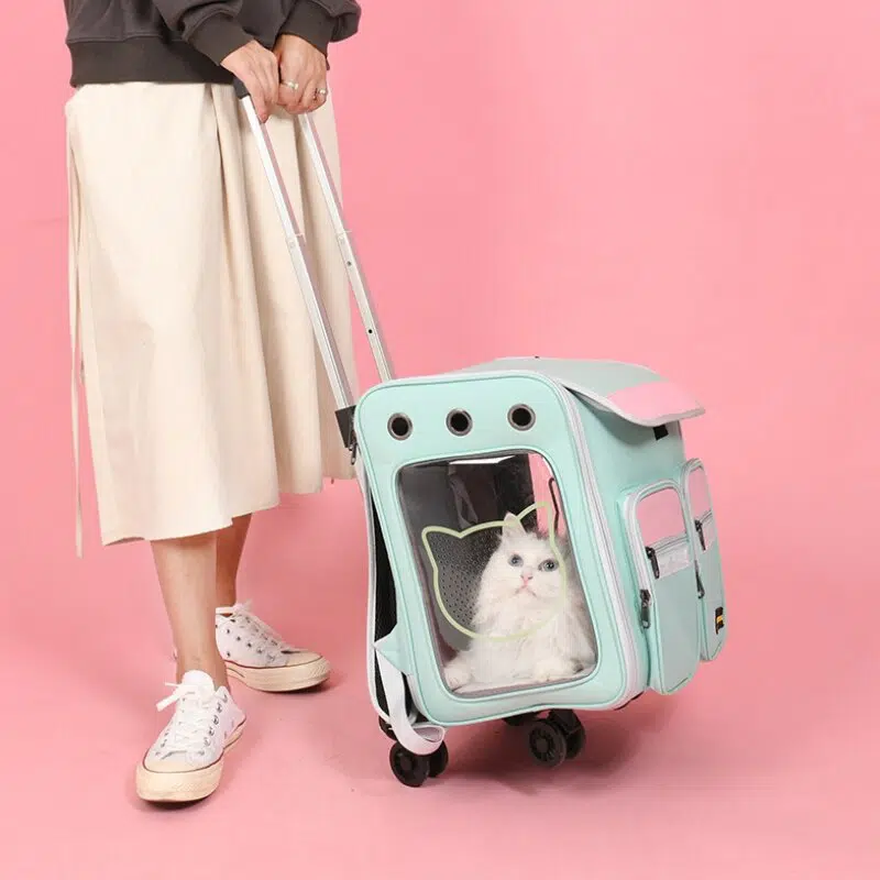Sac de transport poussette pour chat bleue, confortable avec un chat à l'intérieur