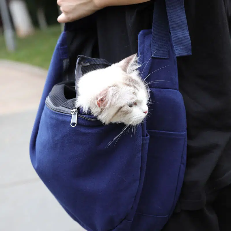 Sac de transport respirant couleur unie pour chat bleue porté par quelqu'un avec un chat à l'intérieur