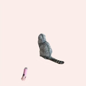 Stylo lumineux avec projection souris d'animation pour chat
