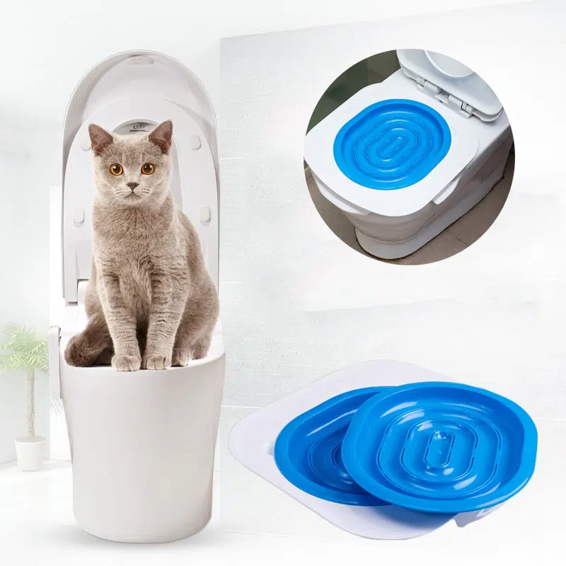 Tapis de litière en plastique bleu et blanc pour chat avec un chat