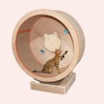 Tapis roulant à gratter pour chat en bois avec un chat à l'intérieur dans une maison