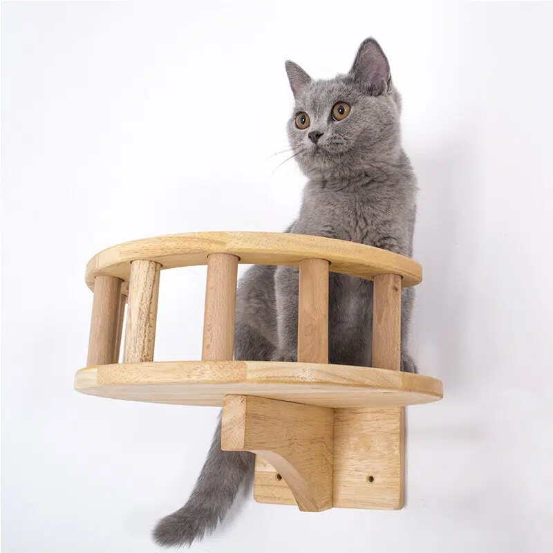 Véranda d'escalade à installer au mur pour chat en bois accrocher sur un mur