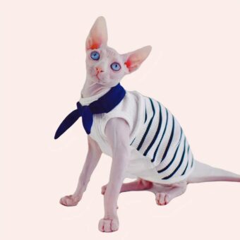 Vêtement chat printemps à rayures très confortable porté par un chat sur un tapis dans une maison