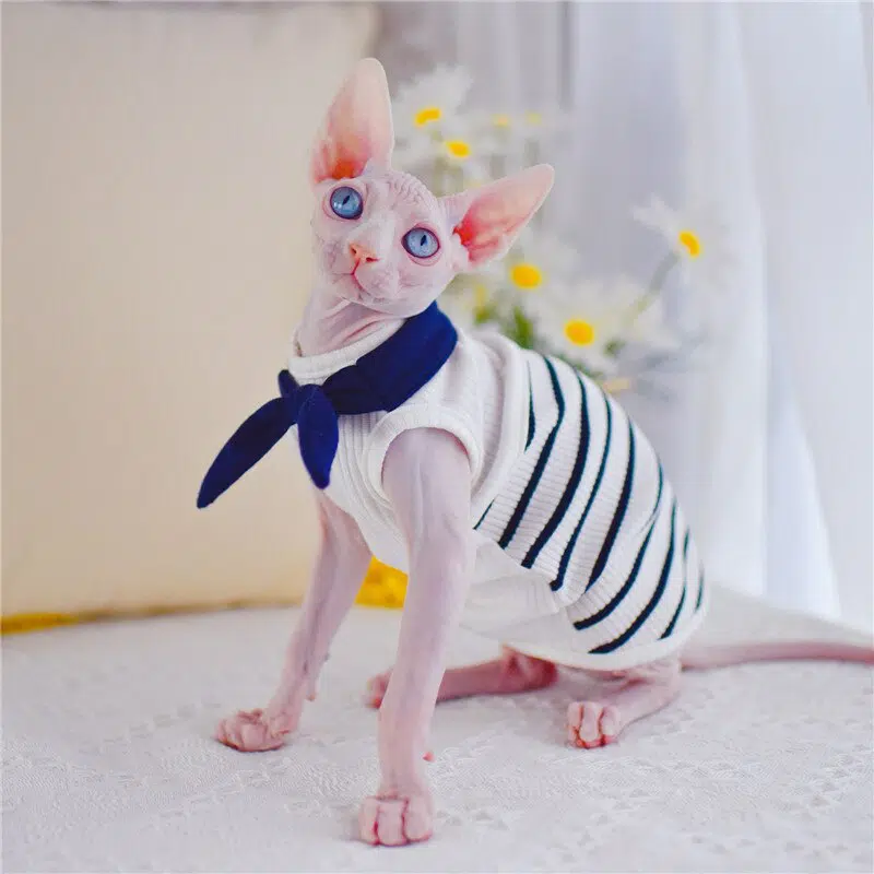 Vêtement chat printemps à rayures très confortable porté par un chat sur un tapis dans une maison