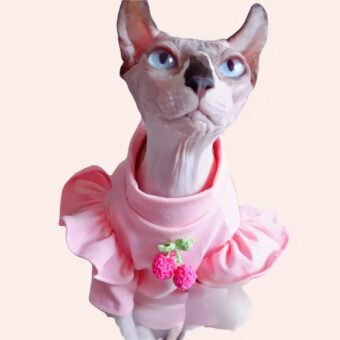 Vêtement d'été à manches volantes pour chat rose à la mode portée par un chat dans une maison