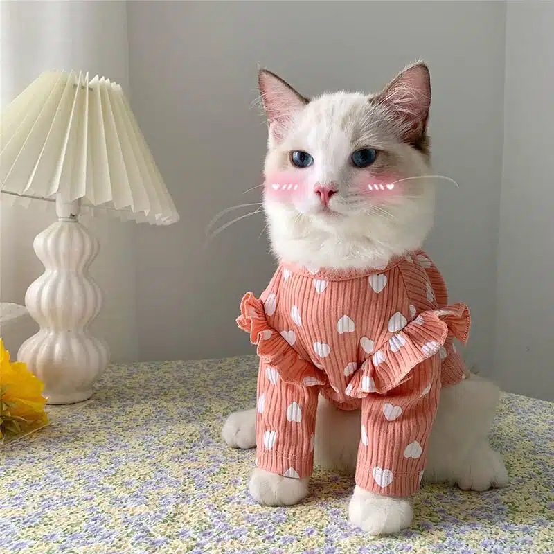 Vêtement de printemps imprimé cœur pour chat porté par un chat dans une maison