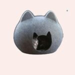 15460-48d792.jpeg