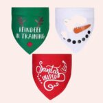 Collier bandana de noël pour chat