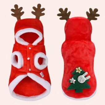 Costume de noël pour chat