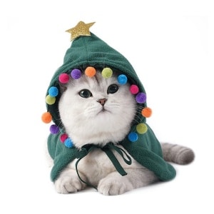 Manteau de noël pour chat vert à la mode porter par un chat