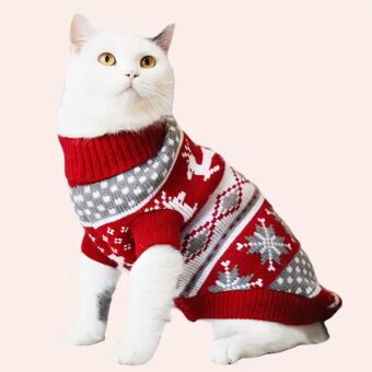 Pull de noël pour chat tricoté, confortable porté par un chat sur un tapis dans une maison