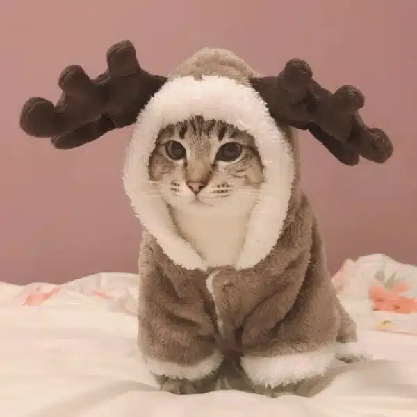 Costume en polaire pour chat costume en polaire pour chat xs