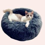 Coussin rond en peluche pour chat