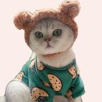Couvre-chef en peluche pour chat