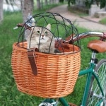 Panier à vélo en osier pour chat marron, très confortable sur un byciclette