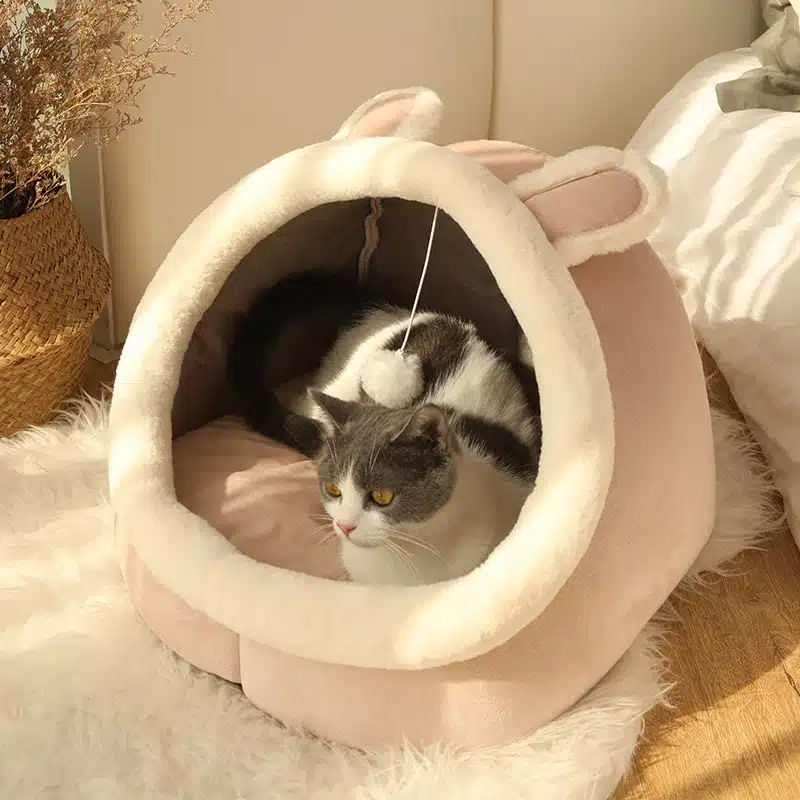 Panier niche pour chat décoré en Lapin confortable, avec un chat à l'intérieur sur un tapis dans une maison