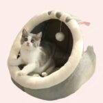 Panier pour chat comme une niche douillette confortable avec un chat à l'intérieur sur un tapis dans une maison