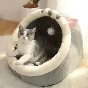 Panier pour chat comme une niche douillette confortable avec un chat à l'intérieur sur un tapis dans une maison