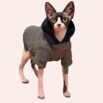 Pull à capuche en coton pour chat