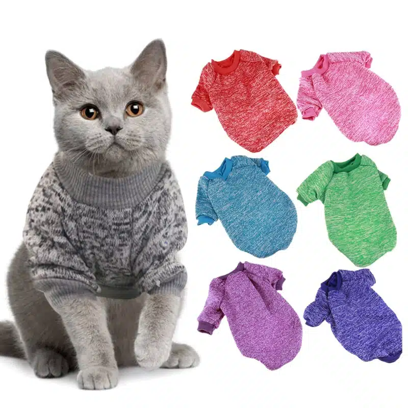 Pull chaud colorés pour chats