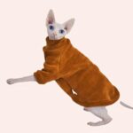 Pull élégant pour chatPull élégant pour chat