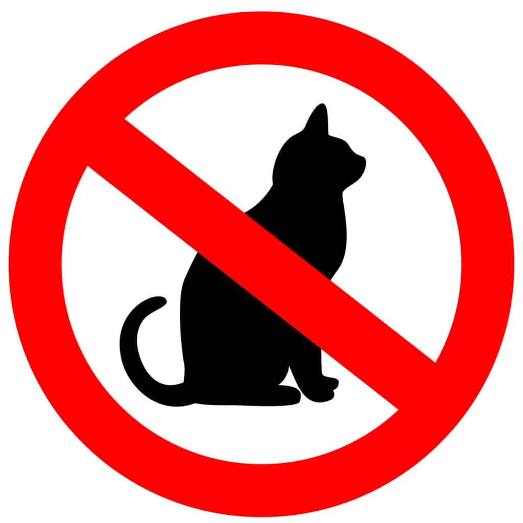 Un panneau sur fond blanc avec un dessin anti chat noir et un cercle interdit en rouge.
