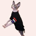 T-shirt noir pour chat