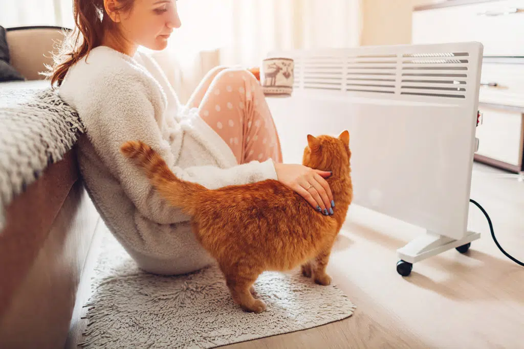 Une chatte en chaleur rousse posée à coté de son maitre. Ils sont assis devant un radiateur blanc dans une chambre.