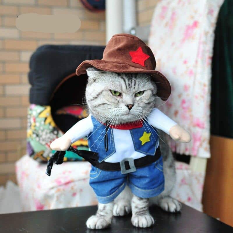 Déguisement cowboy pour chat