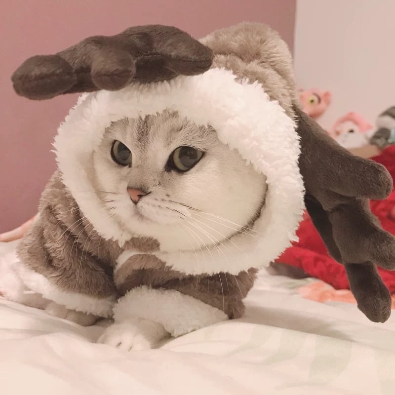 Costume en polaire pour chat en forme de renne