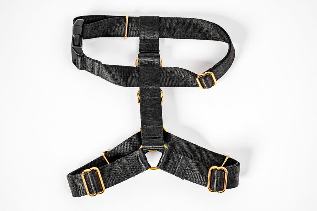 Un harnais pour chat en tissus noir sur fond blanc