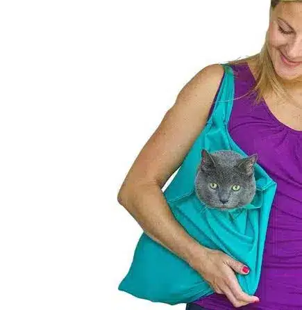 Sac transport pour chat: notre top 5 Confort du chat, Activités du chat sac transport pour chat notre top 5 2