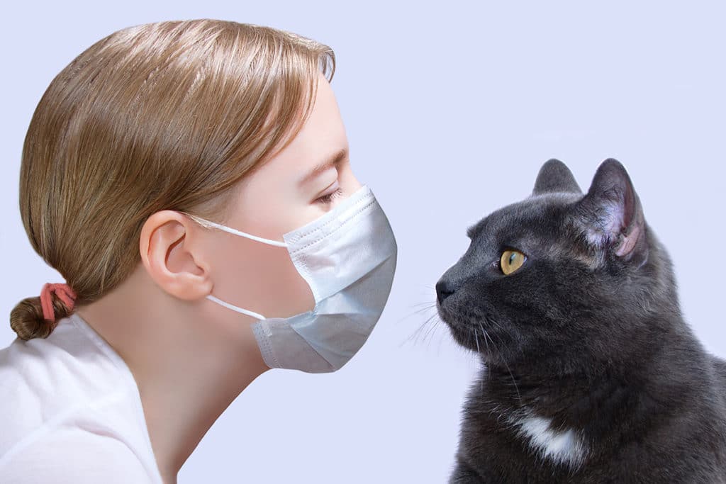 Un gros chat noir qui a des allergies en face d'une vétérinaire avec un masque blanc. Le vétérinaire veut lui donner un vaccin pour que le chat arrête de tousser