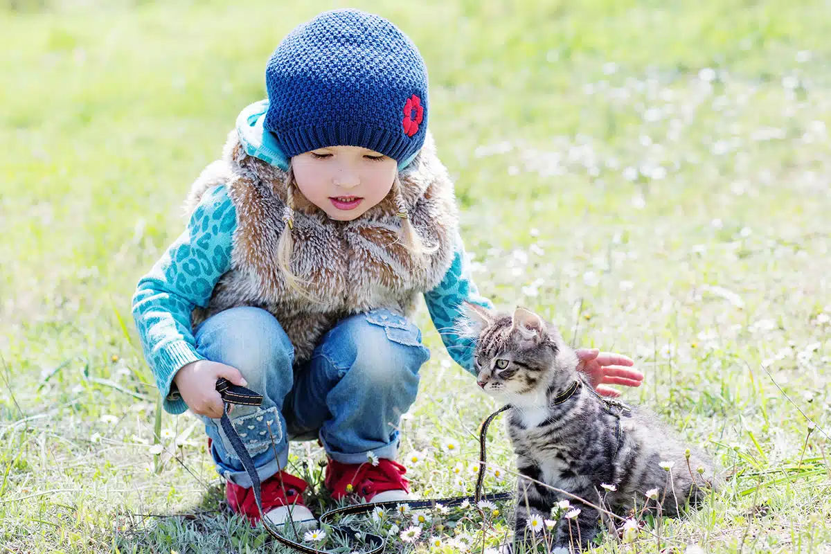Une petite fille qui promène son chat en laisse en extérieur. La petite fille porte une petite veste à fourrure et le chat gris et blanc porte une laisse noire
