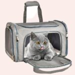 Sac de transport respirant pour chat gris, confortable avec un chat à l'intérieur