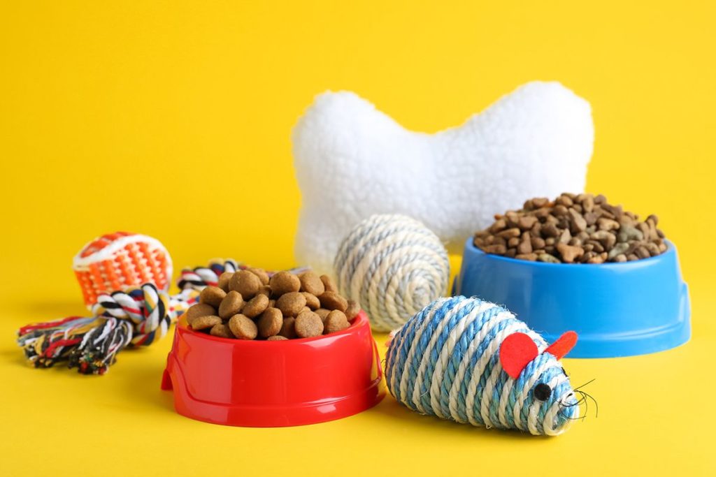 Deux bols rouge et bleu remplis de croquettes avec des jouets pour chat le tout sur fond jaune