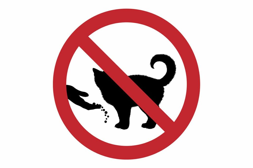 Un panneau qui indique de ne pas nourrir le chat avec des aliments interdits aux chats