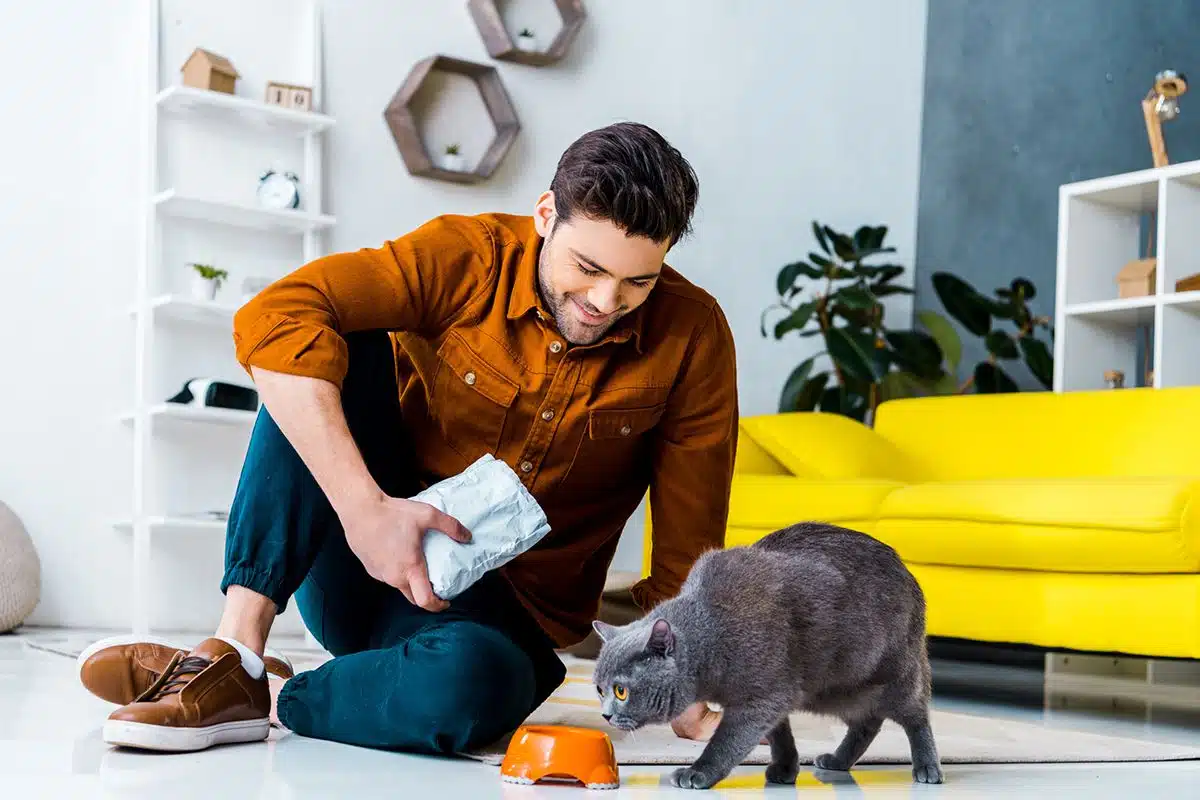Un homme heureux assis à terre dans son salon à côté de son chat gris de race Chartreux. Le chat mange ses croquettes dans une gamelle pour chat orange.