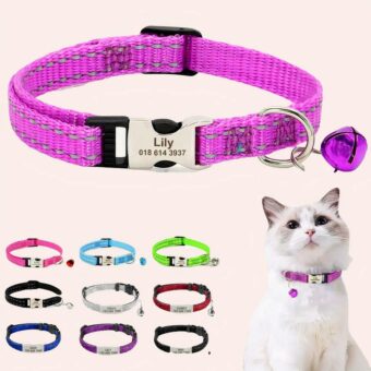 Colliet nylon plusieurs couleurs avec un chat blanc