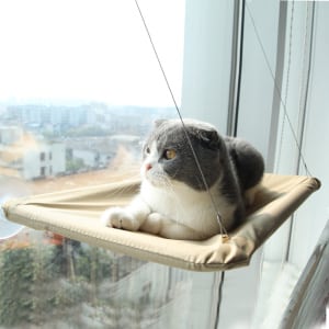Hamac de fenêtre pour chat accroché sur une fenêtre dans une maison