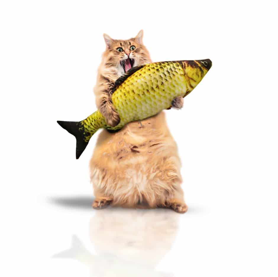 Jouet interactif pour chat | Poisson électrique vibrant avec herbe à chat jouet poisson vibrant
