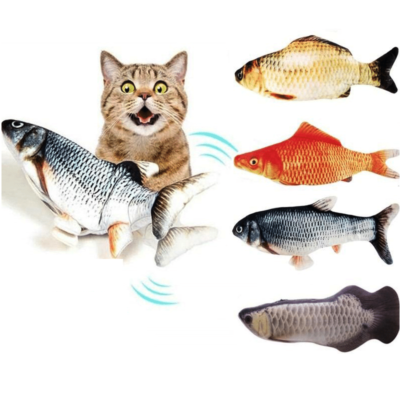 Jouet électrique Chats - Jouet poisson rouge - Jouet chaton