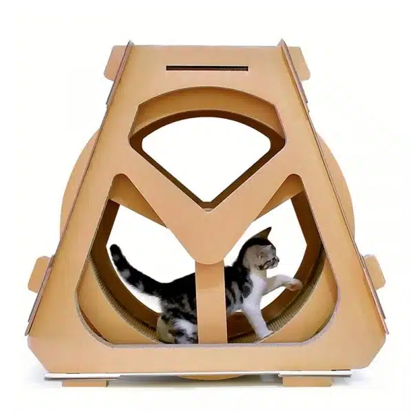 UNe roue d'exercice pour chat en carton brun avec un petit chaton noir et blanc en train de courir à l'intérieur
