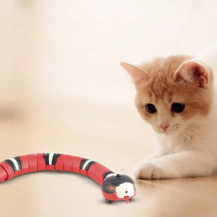 Jouet interactif pour chat serpent intelligent télécommandé serpent intelligent et telecommande