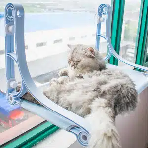 Hamac avec roulement de fenêtre pour chat, accrocher sur une fenêtre avec un chat au-dessus dans une maison