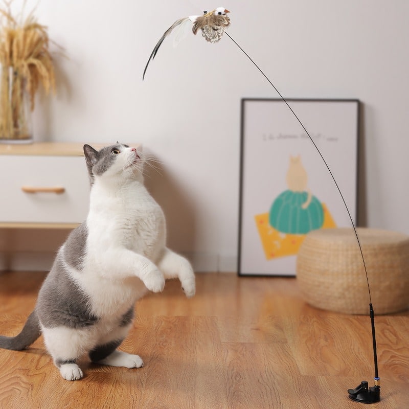 Jouet pour chat interactif en forme d’oiseau jouet pour chat interactif en forme doiseau 2